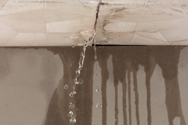 Professional Burst Pipe Cleanup technician working in Thornville, OH